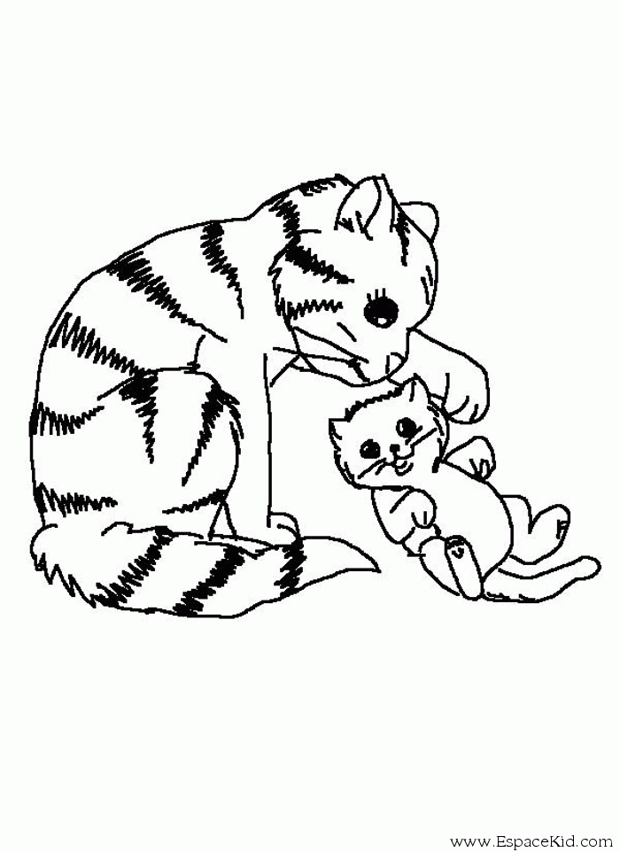 coloriage chaton trop mignon a imprimer