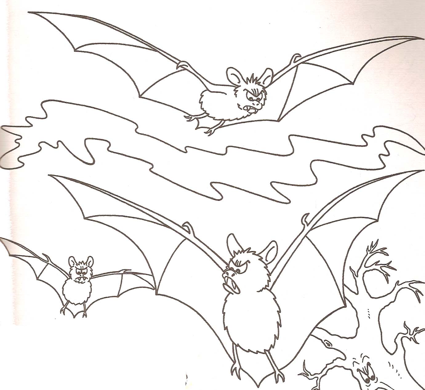 dessin chauve souris en ligne