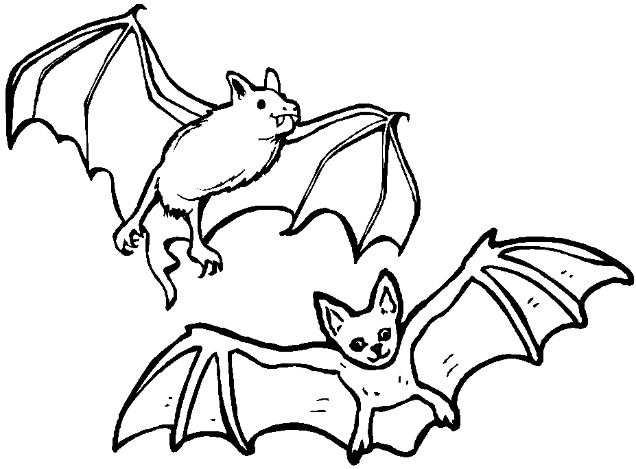 dessin à colorier d'halloween chauve souris
