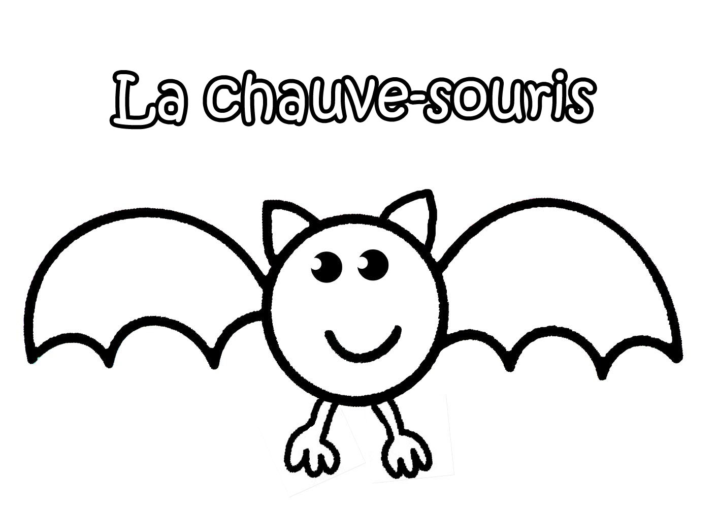 coloriage chauve souris