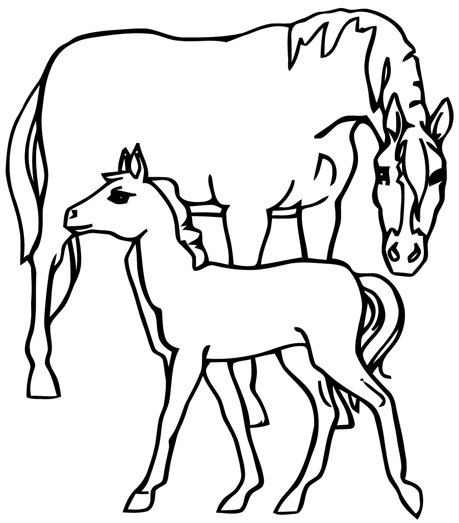 Voir le dessin Voir le dessin 20 dessins de coloriage Cheval Imprimer