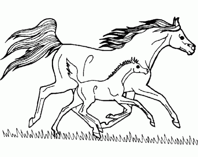 coloriage cheval en ligne