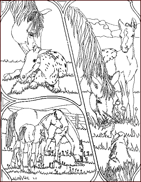 coloriage d'un cheval à imprimer