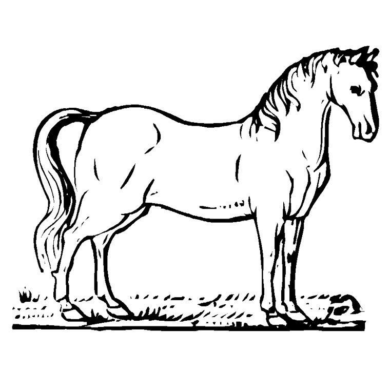 coloriage cheval bascule