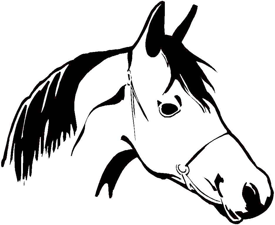 coloriage image cheval