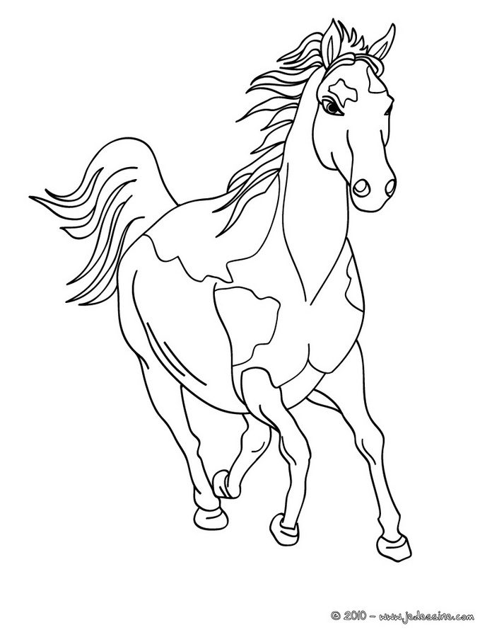 coloriage cheval en ligne