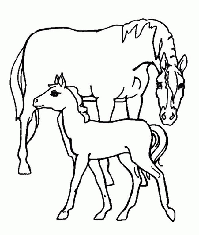 coloriage cheval quitation