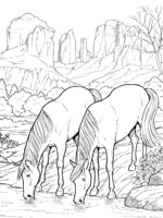 coloriage a cheval imprimer