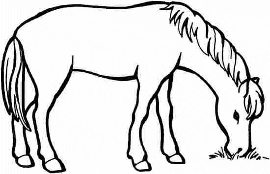 coloriage cheval maternelle