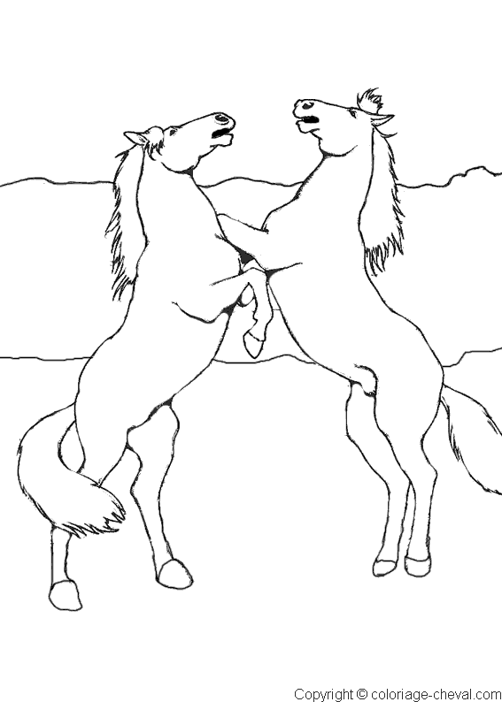 coloriage cheval qui se cabre