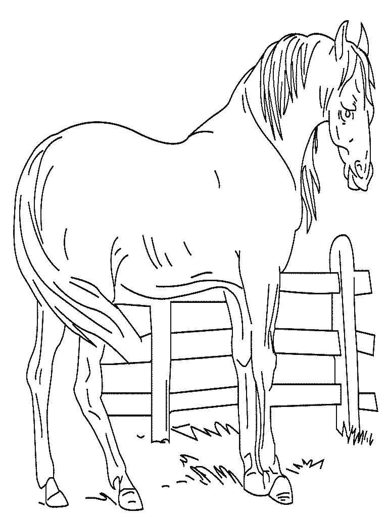 coloriage magique cheval gratuit