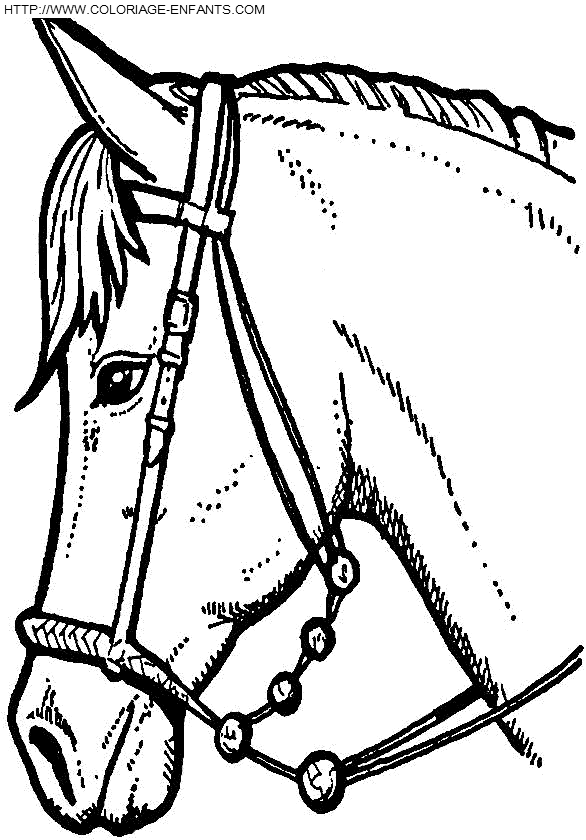 coloriage chevalier du zodiaque a imprimer gratuit coloriage chevalier du zodiaque a imprimer gratuit