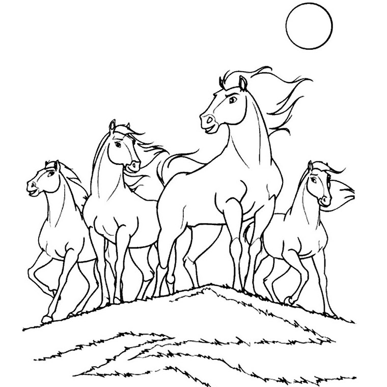 coloriage cheval adulte