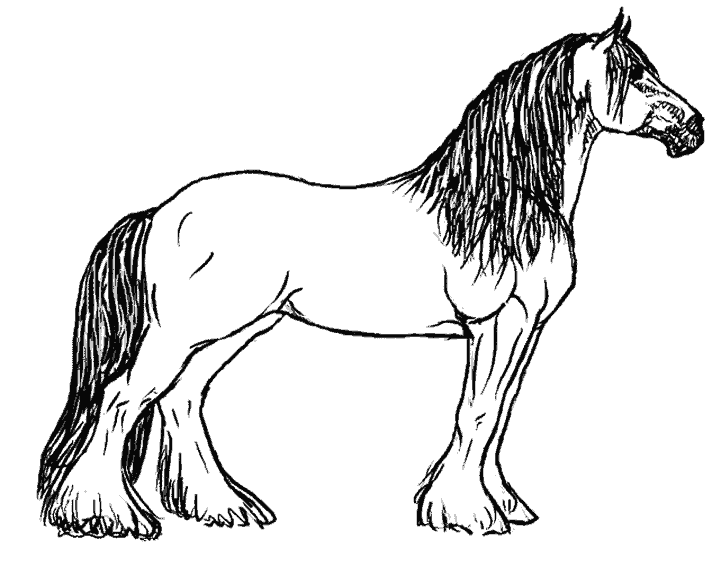 coloriage cheval cavalier