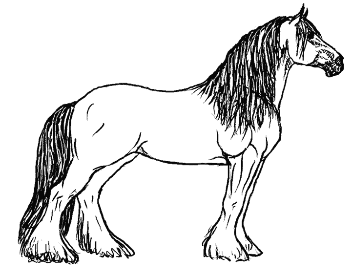 119 Dessins De Coloriage Cheval à Imprimer