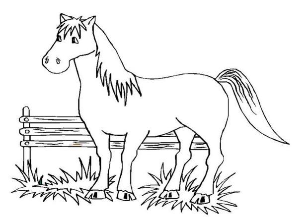 coloriage cheval pegase