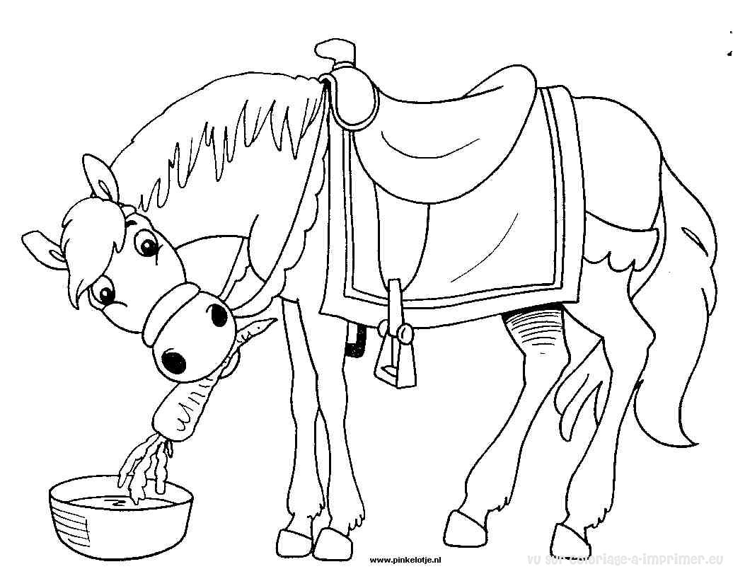 coloriage cheval poulain imprimer