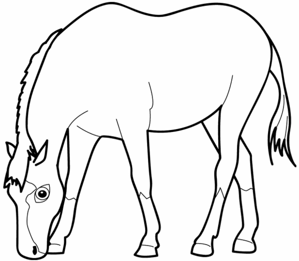 coloriage  imprimer cheval magique