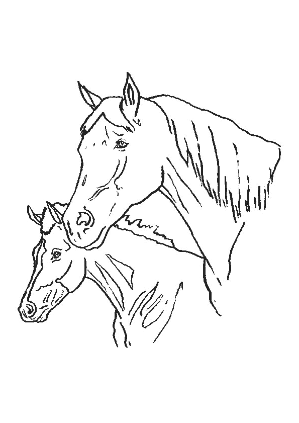 coloriage cheval magique