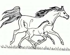 coloriage cheval qui saute un obstacle