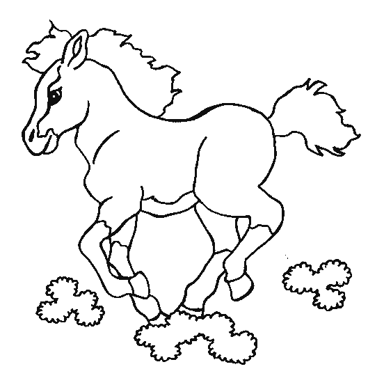 coloriage cheval curie