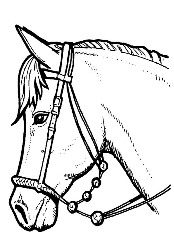 coloriage cheval vrac