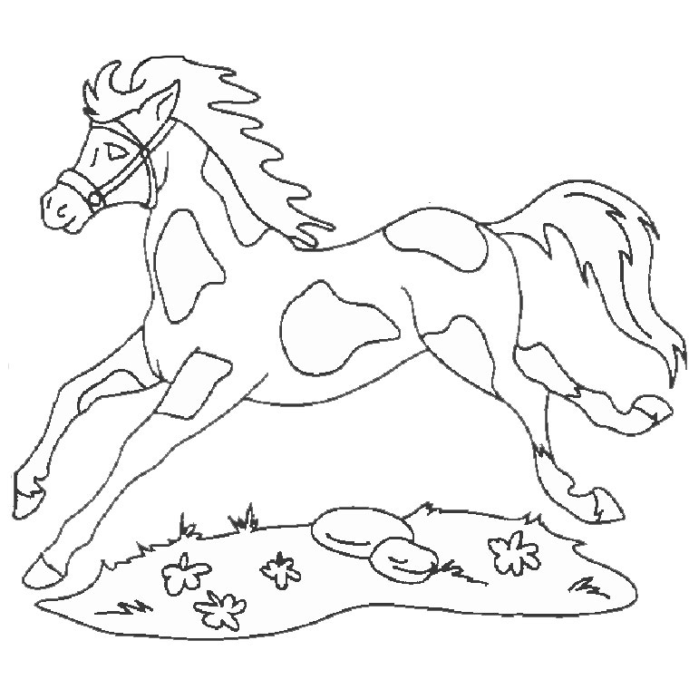 coloriage cheval et poulain a imprimer