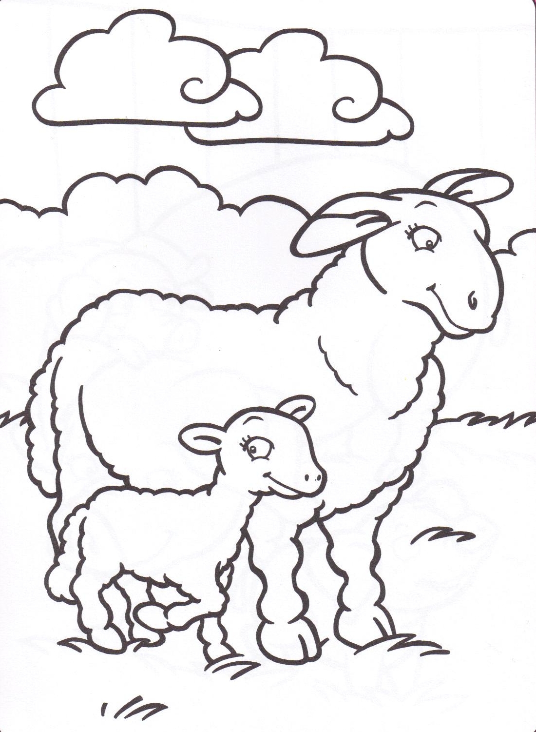 coloriage chevre chevreau