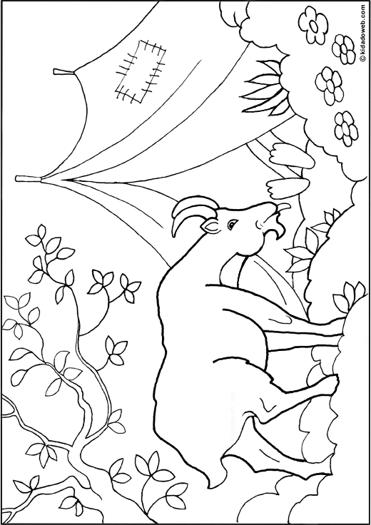 coloriage chevre et loup