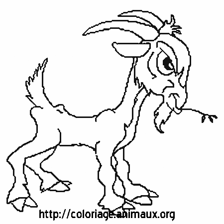 coloriage  imprimer chevre