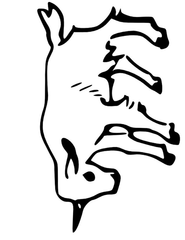 dessin � colorier de chèvre