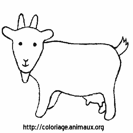 dessin a colorier tete de chevre