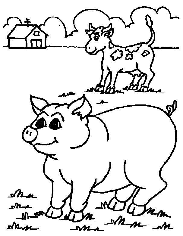 coloriage d une chevre