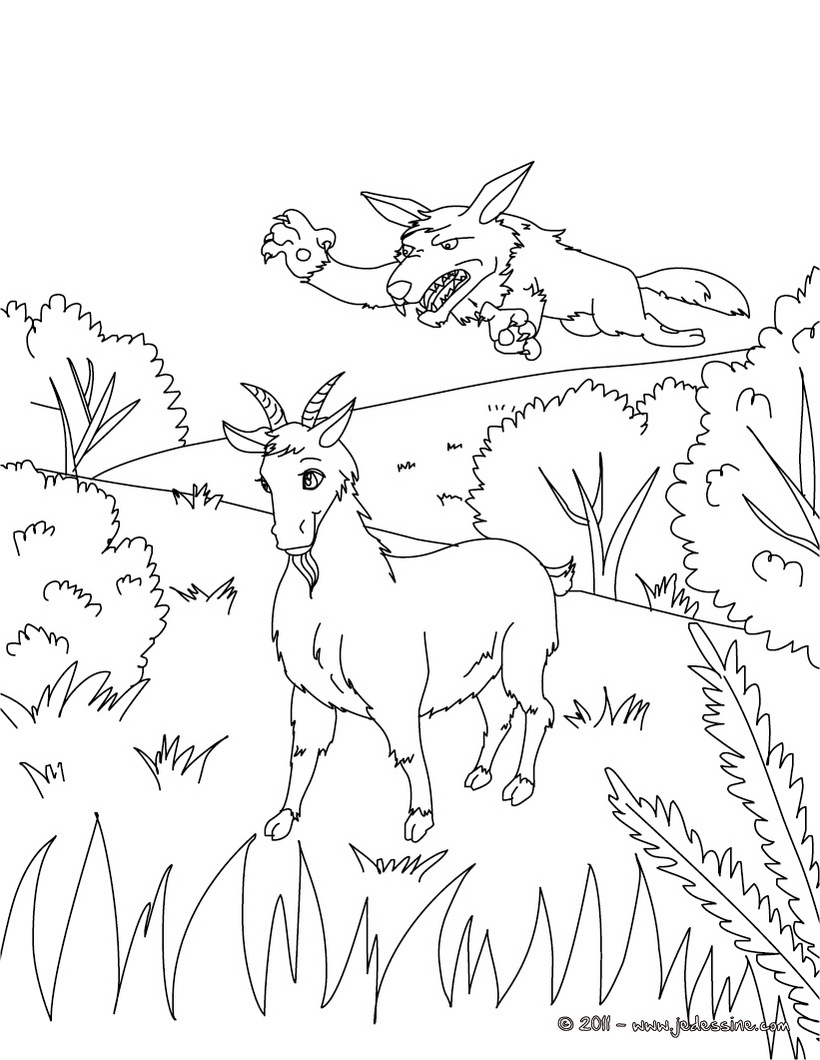 coloriage d une chevre