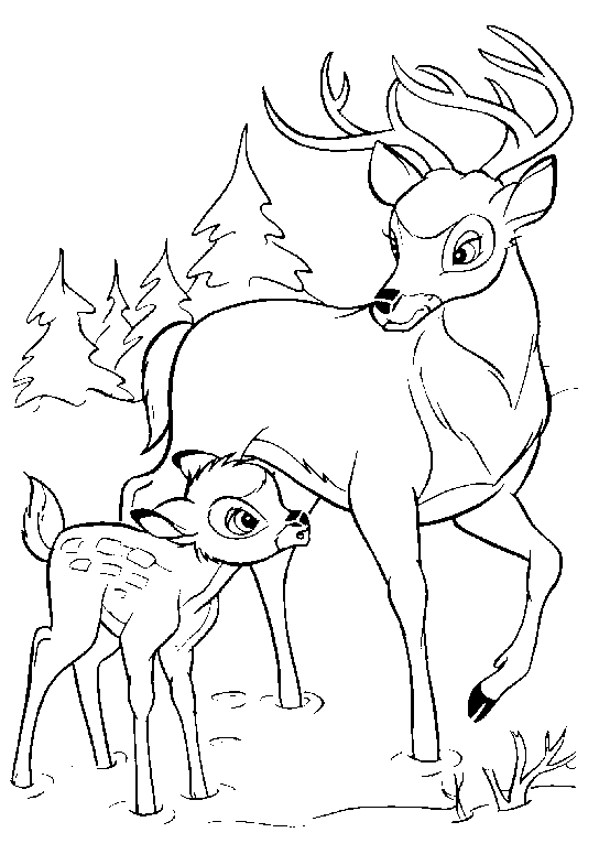 Dessin Chevreuil Maternelle Dessin Chevreuil Maternelle