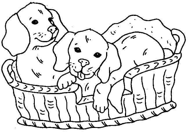 coloriage chien a imprimer gratuit