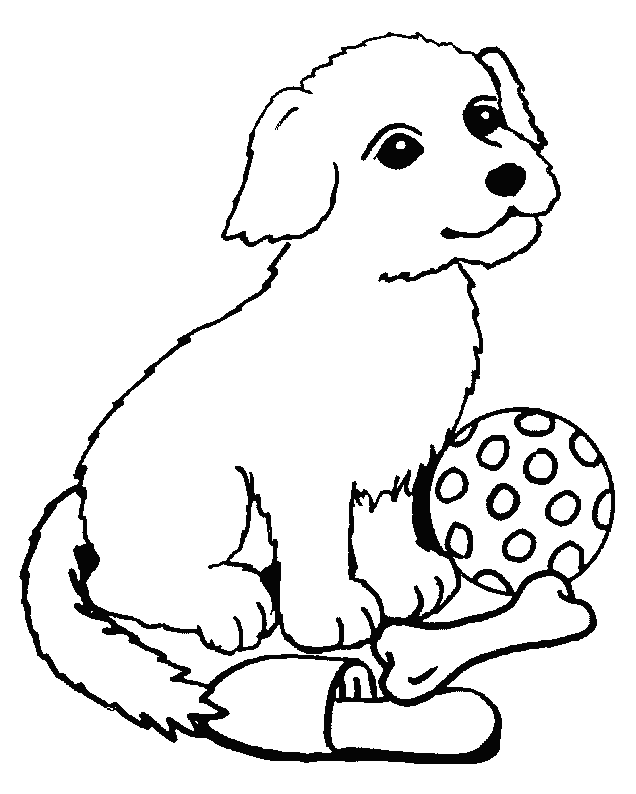 coloriage chien chat