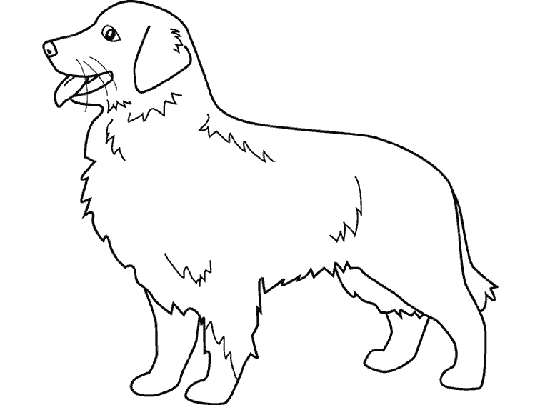 Dessin De Chien Loup A Imprimer