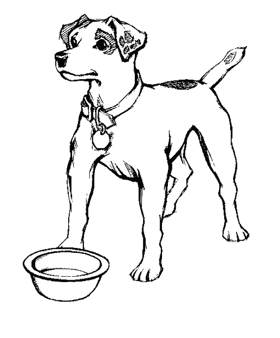 coloriage chien de chasse