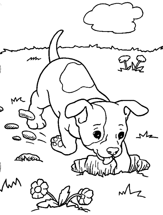 coloriage chien de chasse