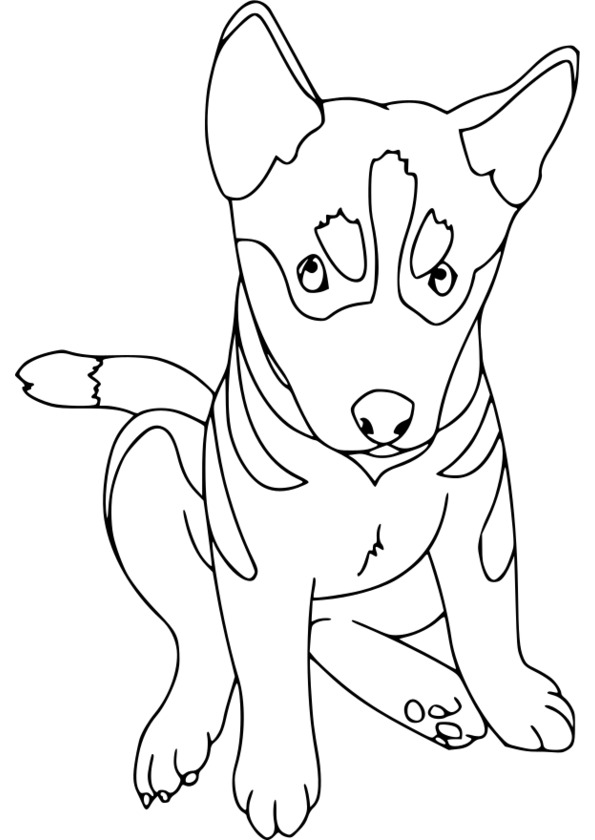 20 dessins de coloriage Chien De Traineau à Imprimer à imprimer