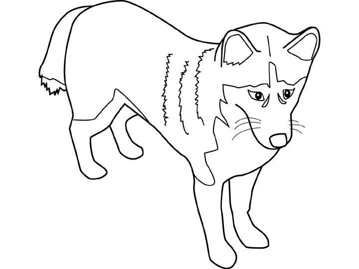 20 dessins de coloriage Chien Gratuit à imprimer coloriage chien gratuit