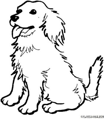 Coloriage Chien Chiot Gratuit