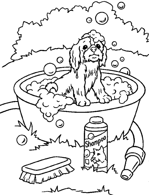 coloriage chien