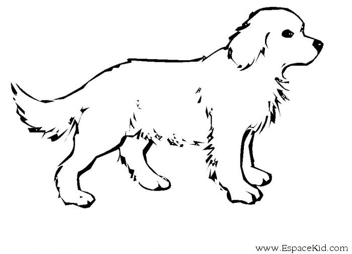 coloriage d'un chien imprimer