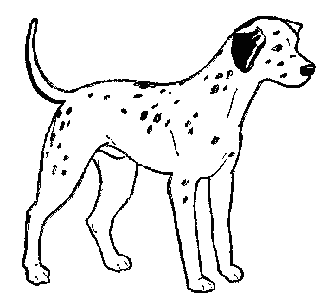 coloriage bebe chien imprimer