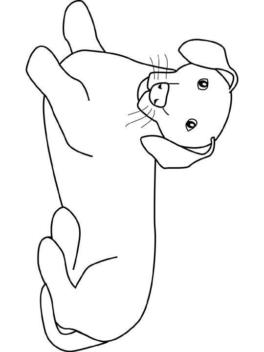 Coloriage Chien Labrador