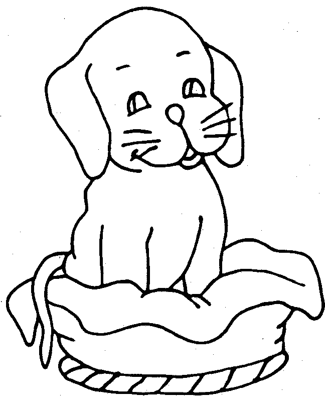 coloriage chien traineau