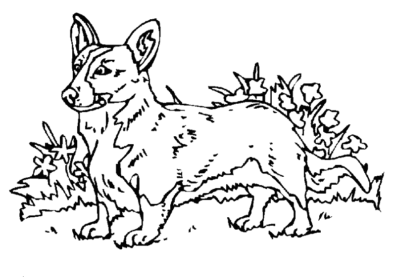 coloriage chien qui joue