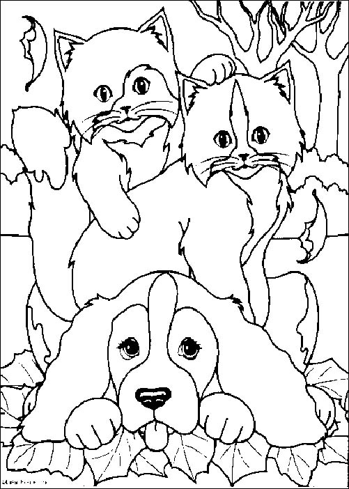 coloriages chiens et chats à imprimer